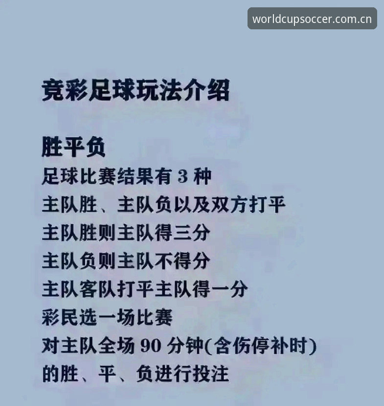 世界杯买球App安卓版功能详解：一场颠覆传统的博彩体验全面评测